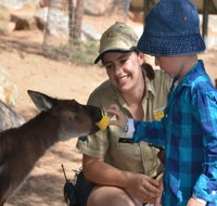Mums and Cubs And Dads too - Tourism Canberra