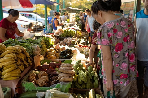 Rapid Creek Markets - Tourism Canberra 1