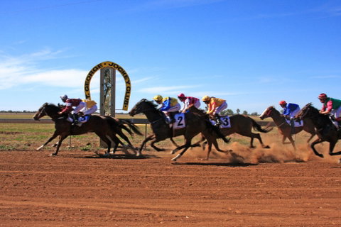 St George Cup Race - Tourism Canberra 0