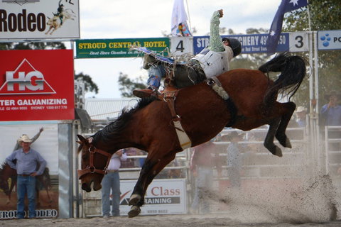 Stroud Rodeo And Campdraft - Tourism Canberra 0