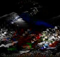 Summer  Family Nature Camp - Tourism Canberra