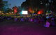 The Perfect Light Film Festival - Broken Hill - thumb 1