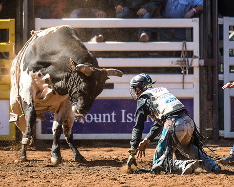 The 2020 Virtual Mount Isa Mines Rodeo - Tourism Canberra 2