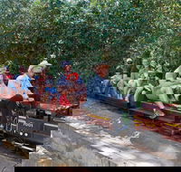 Twilight Run   Willans Hill Miniature Railway - Tourism Canberra