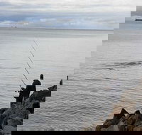 Whale Watching in Portland - Tourism Canberra