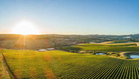 Wine And Food At Altitude - Tourism Canberra 0