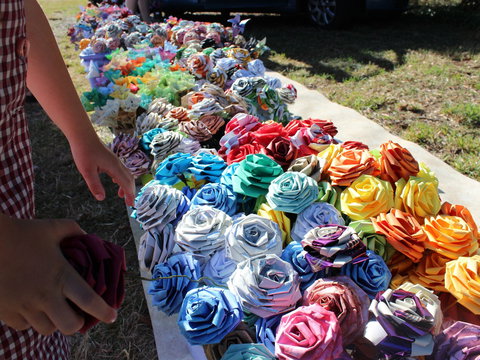 Wynyard Foreshore Market - Tourism Canberra 0