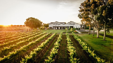 Aged Wine And Vintage Pies - Tourism Canberra 2