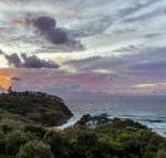 Whale Watch Ocean Beach Resort - Tourism Canberra