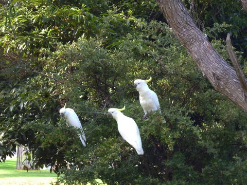 Coachman's Eden - Tourism Canberra 5