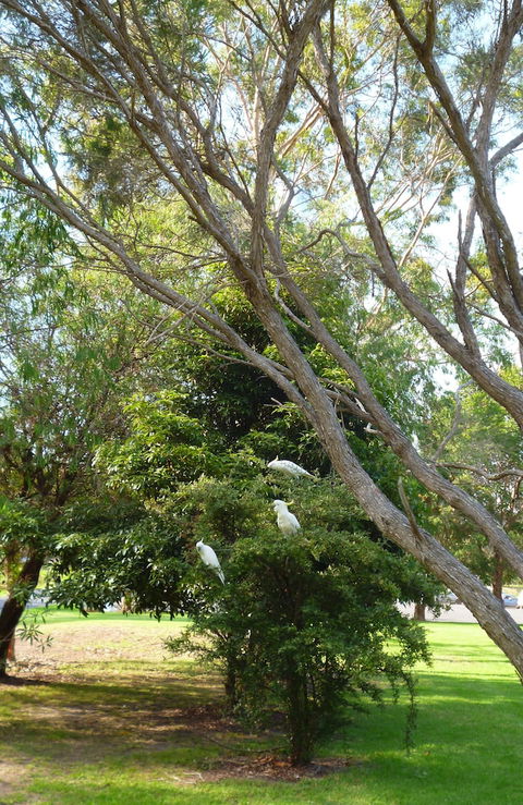Coachman's Eden - Tourism Canberra 4