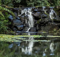 Kondalilla Eco Resort - Tourism Canberra