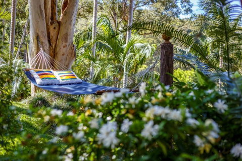 Sensom Luxury Bed & Breakfast - Tourism Canberra 3
