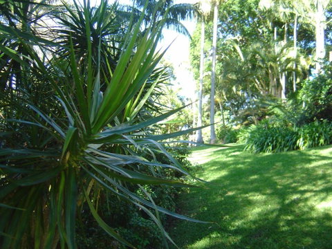 Sensom Luxury Bed & Breakfast - Tourism Canberra 2