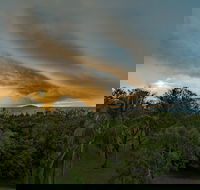 Ocean International - Tourism Canberra