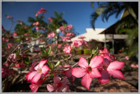 Seashells Broome - Tourism Canberra 4