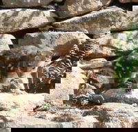 Jenolan Caves House - Tourism Canberra