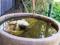 Hope Cottage Country Retreat - Tourism Canberra 4