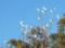 Hope Cottage Country Retreat - Tourism Canberra 1