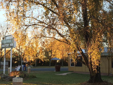Guyra Motor Inn - Tourism Canberra 1