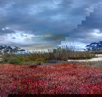 Saintys Creek Cottage - Tourism Canberra