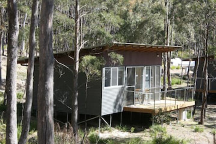 Avoca TAS Tourism Canberra