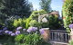 Winston Cottage At Three Sisters - thumb 5