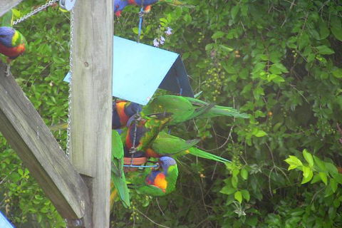 A Lakehouse Escape - Tourism Canberra 4