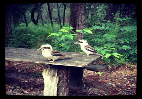 Getaways At Byfield - Tourism Canberra 1