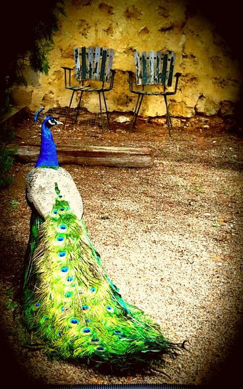 A La Folly - Tourism Canberra 4