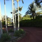 Cleveland B & B Private Studio Room - Tourism Canberra 1