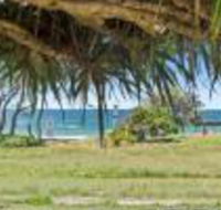 Pandanus on Emerald - Tourism Canberra