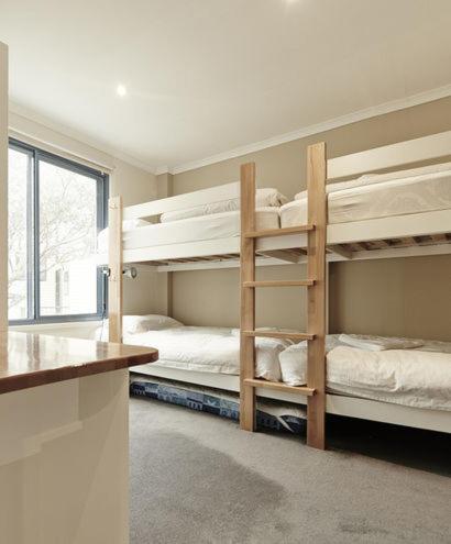 Valley View 203 - Tourism Canberra 4