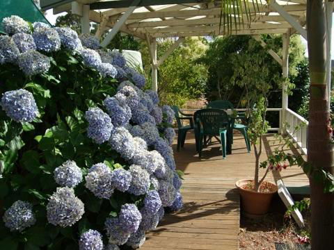 Nannup Riverview Cottage - Tourism Canberra 3