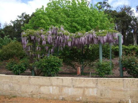 Nannup Riverview Cottage - Tourism Canberra 5