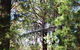 Nornalup Riverside Chalets - thumb 5