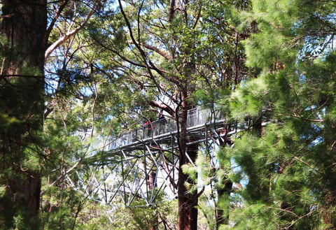 Nornalup Riverside Chalets - Tourism Canberra 5
