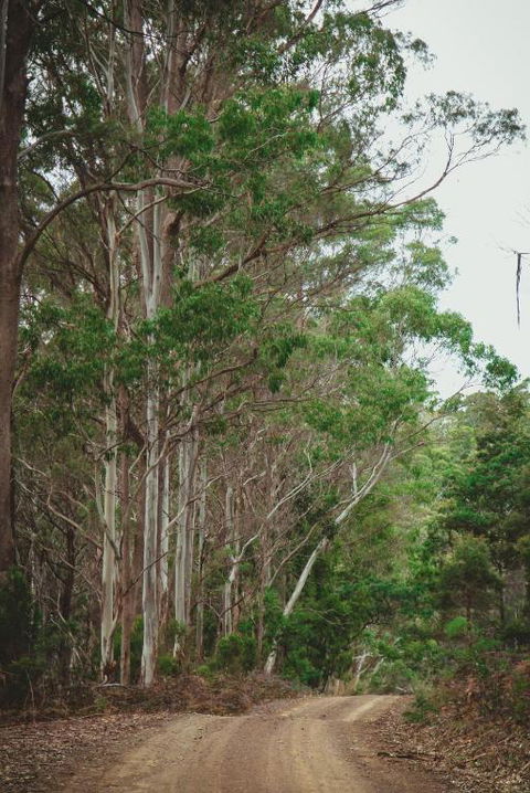 Naivasha Cottage - Tourism Canberra 2