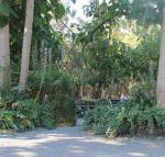 Avoca Park - Tourism Canberra