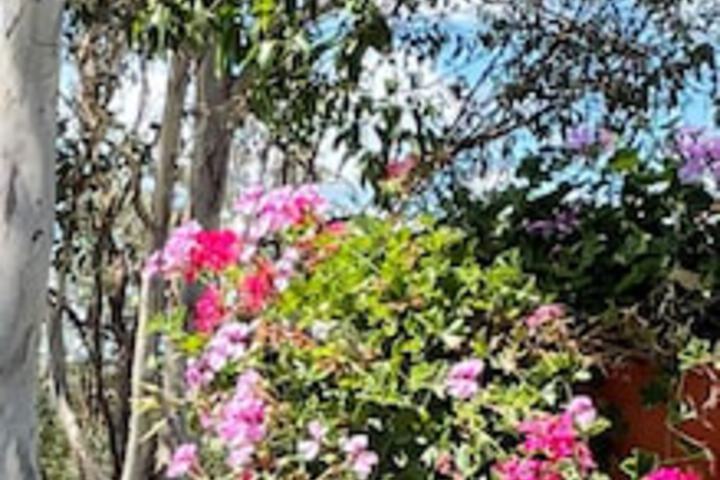 Anduramba QLD Tourism Canberra