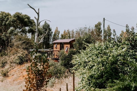 Belmont Homestead - Tourism Canberra 3