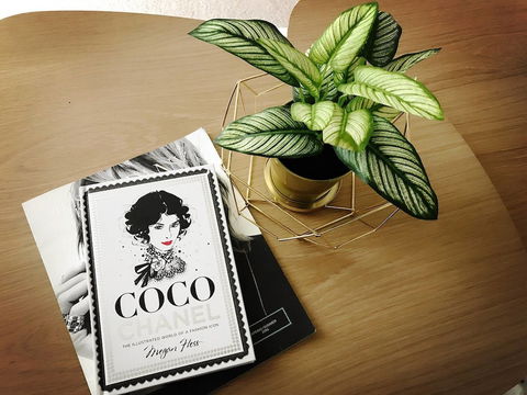 ILK Apartments South Yarra - Tourism Canberra 2