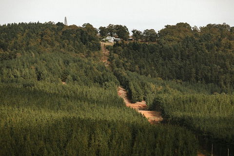 Nannup Hideaway - Tourism Canberra 4