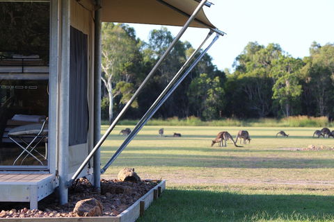 Habitat Noosa - Tourism Canberra 3