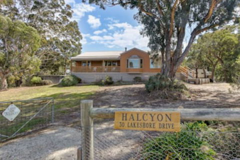 Halcyon - Tourism Canberra 0