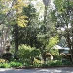 Two Sisters Chalets - Tourism Canberra 1