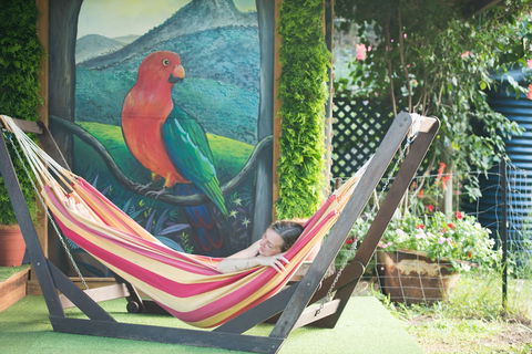 Fig Tree Retro Studio - Tourism Canberra 1