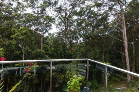 Kookaburras At Smiths - Tourism Canberra 7