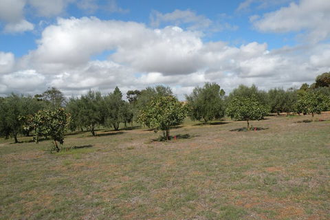 Thalia Getaway Villa - Tourism Canberra 2