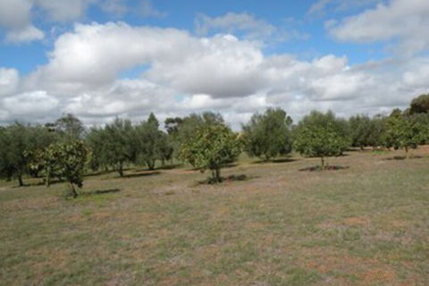 Thalia Getaway Villa - Tourism Canberra 3